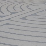What a maze-solving oil drop tells us of intelligence