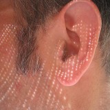 Virtual ears help architects cut chatter confusion