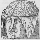 Engineering safer repairs for brain blood vessels