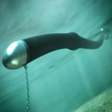 Will the anaconda or the oyster rule wave power?