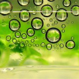 2009 review: In green tech we must trust