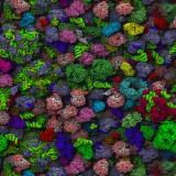 How our green technology may rest on bacterial skills