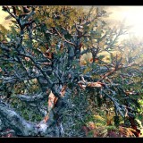 Pointillist style could bring lifelike graphics to PCs