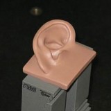 A 3D model of the ultimate ear
