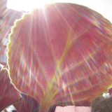 Nanotubes bring artificial photosynthesis a step nearer