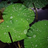 Dirt won’t stick to omniphobic material