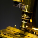Mini microscope captures live brain-cell action