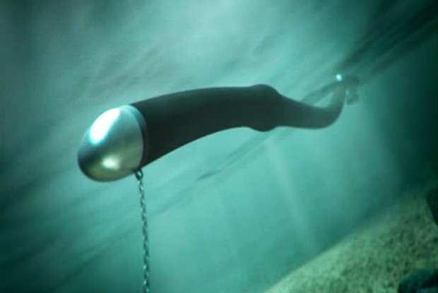 Will the anaconda or the oyster rule wave power?