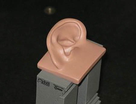 A 3D model of the ultimate ear