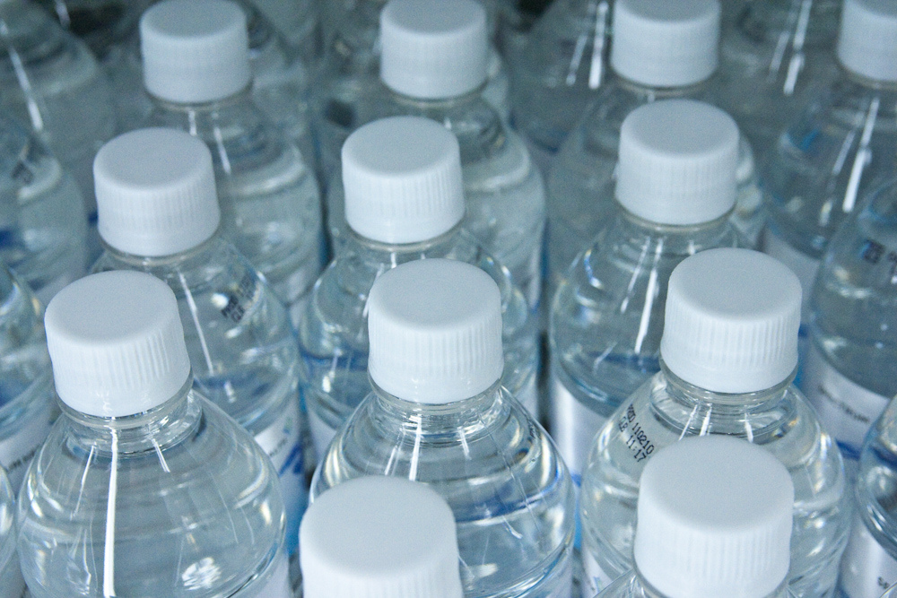 Plastic-munching bugs turn waste bottles into cash