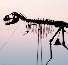Dinosaur evolutionary tree is unveiled