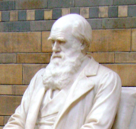 Darwin: Still controversial after all these years