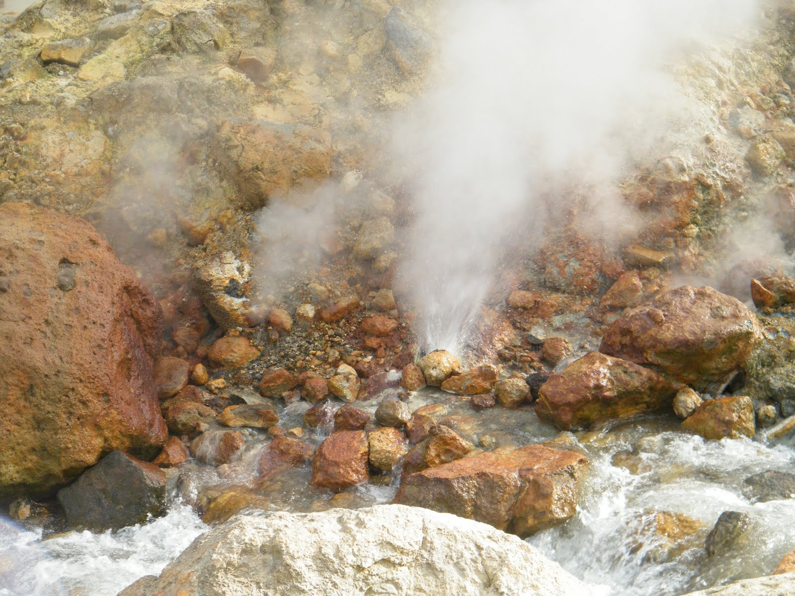 Russian hot springs point to rocky origins for life