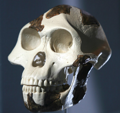 2013 Smart Guide: Searching for human origins in Asia