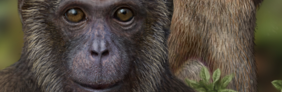 Did tectonic rift push apes and monkeys apart?