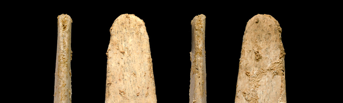 Bone tools suggest Neanderthals taught us skills