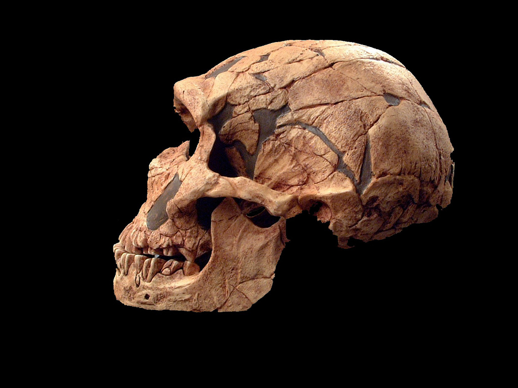 Why we get autism but our Neanderthal cousins didn’t