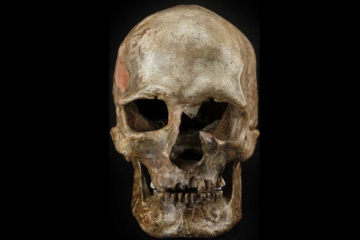 Mystery invaders conquered Europe at the end of last ice age