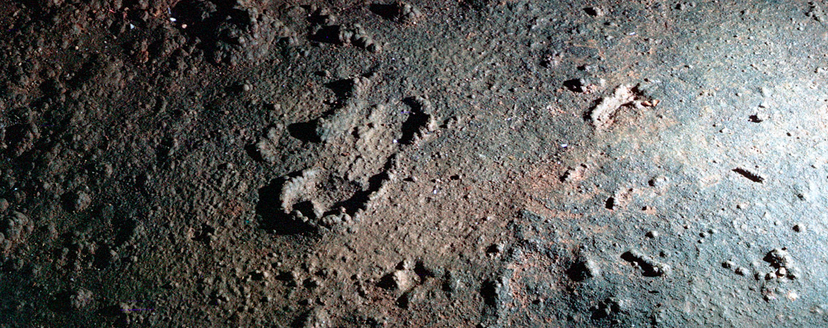 The footprints of the dead have revealed new secrets