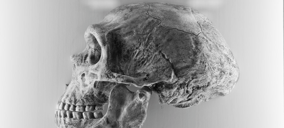 Meet our hybrid ancestors who kept extinct humans’ DNA alive