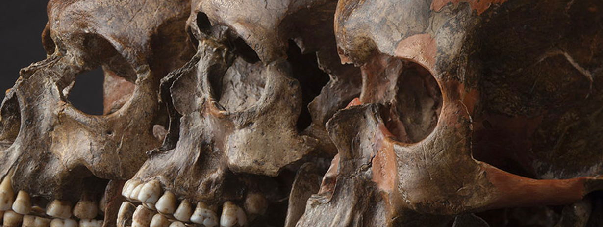 Game of bones: first Europeans’ shifting fortunes found in DNA