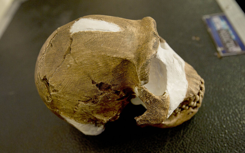 Mystery human species Homo naledi had tiny but advanced brain