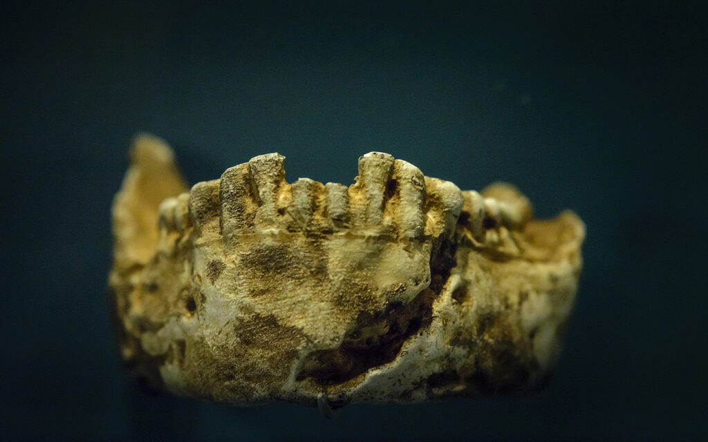 Homo naledi is only 250,000 years old – here’s why that matters