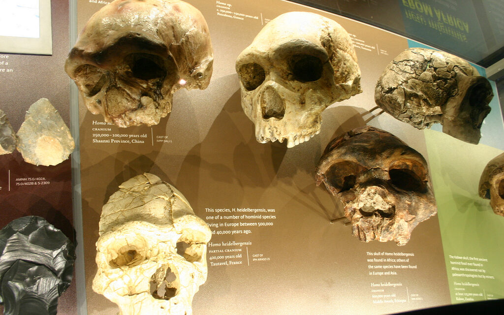 Who are you? How the story of human origins is being rewritten