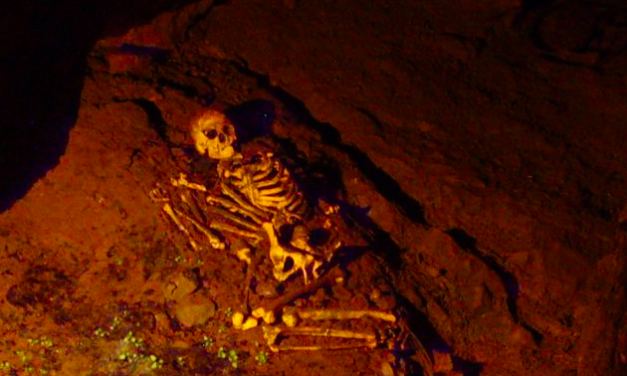 Ancient ‘dark-skinned’ Briton Cheddar Man find may not be true
