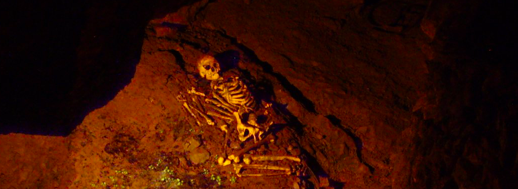 Ancient ‘dark-skinned’ Briton Cheddar Man find may not be true