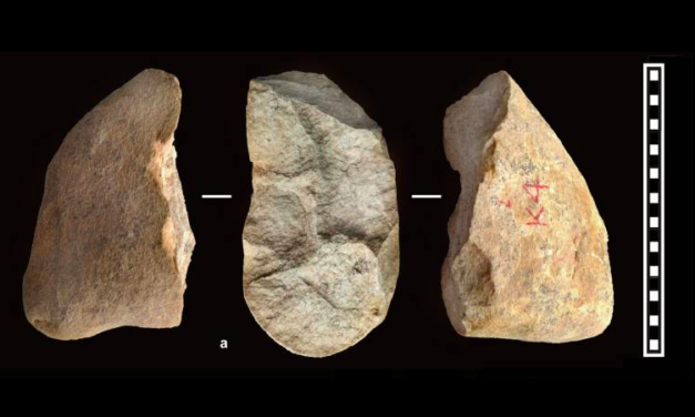 Tools from China are oldest hint of human lineage outside Africa