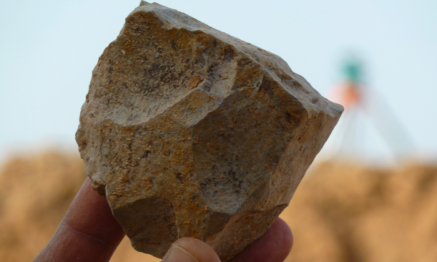Stone tools hint that our first human ancestors lived all over Africa