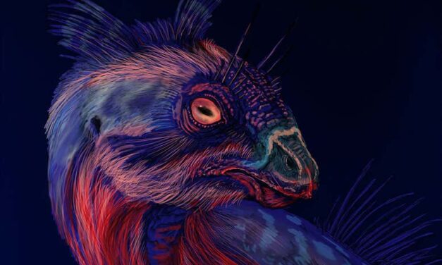 Some dinosaurs might have had fluorescent horns or feathers