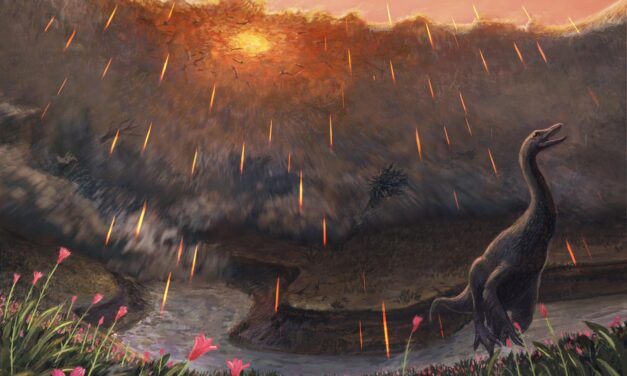 Fossil fish reveal timing of asteroid that killed the dinosaurs